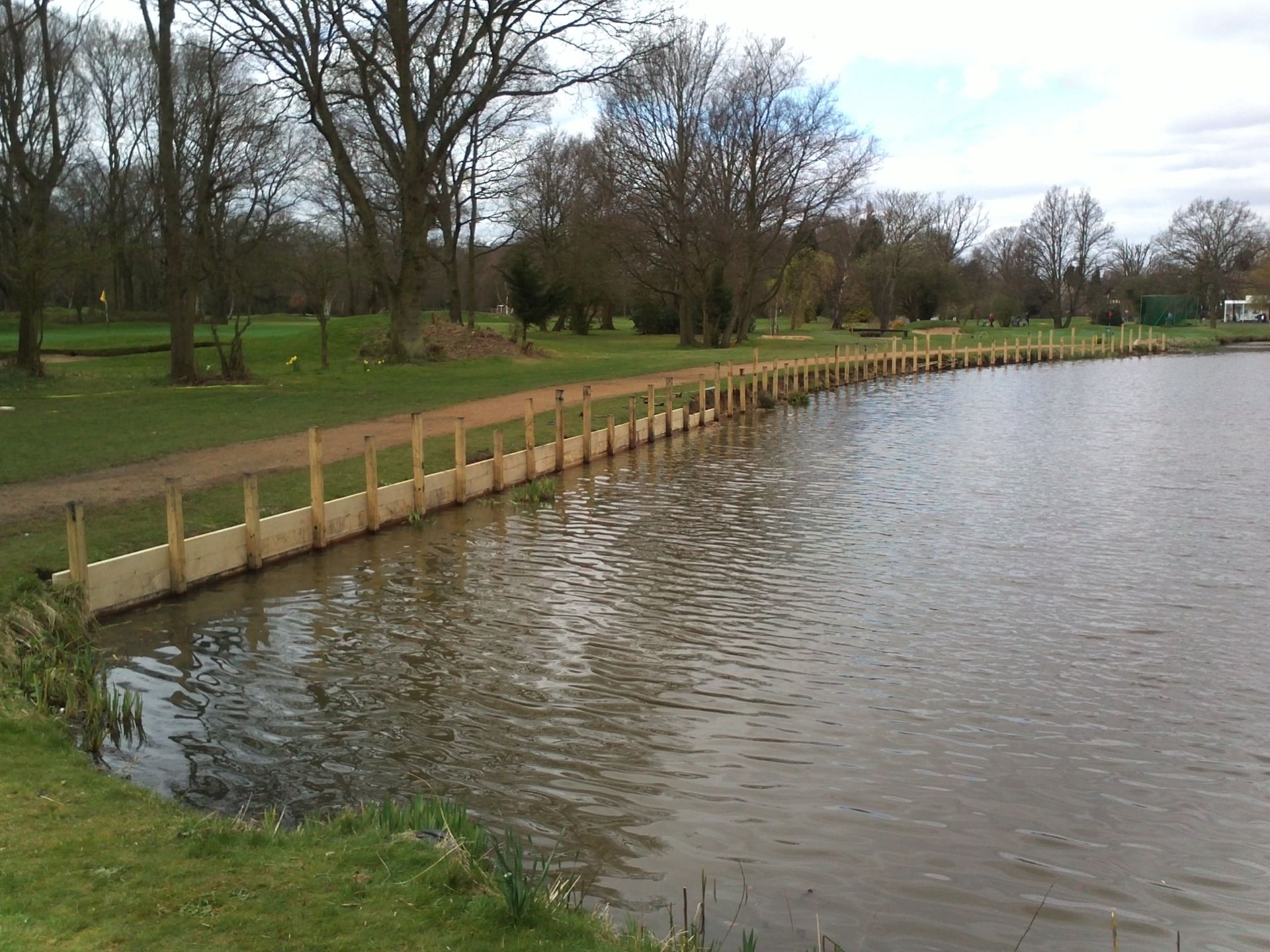Green oak revetment