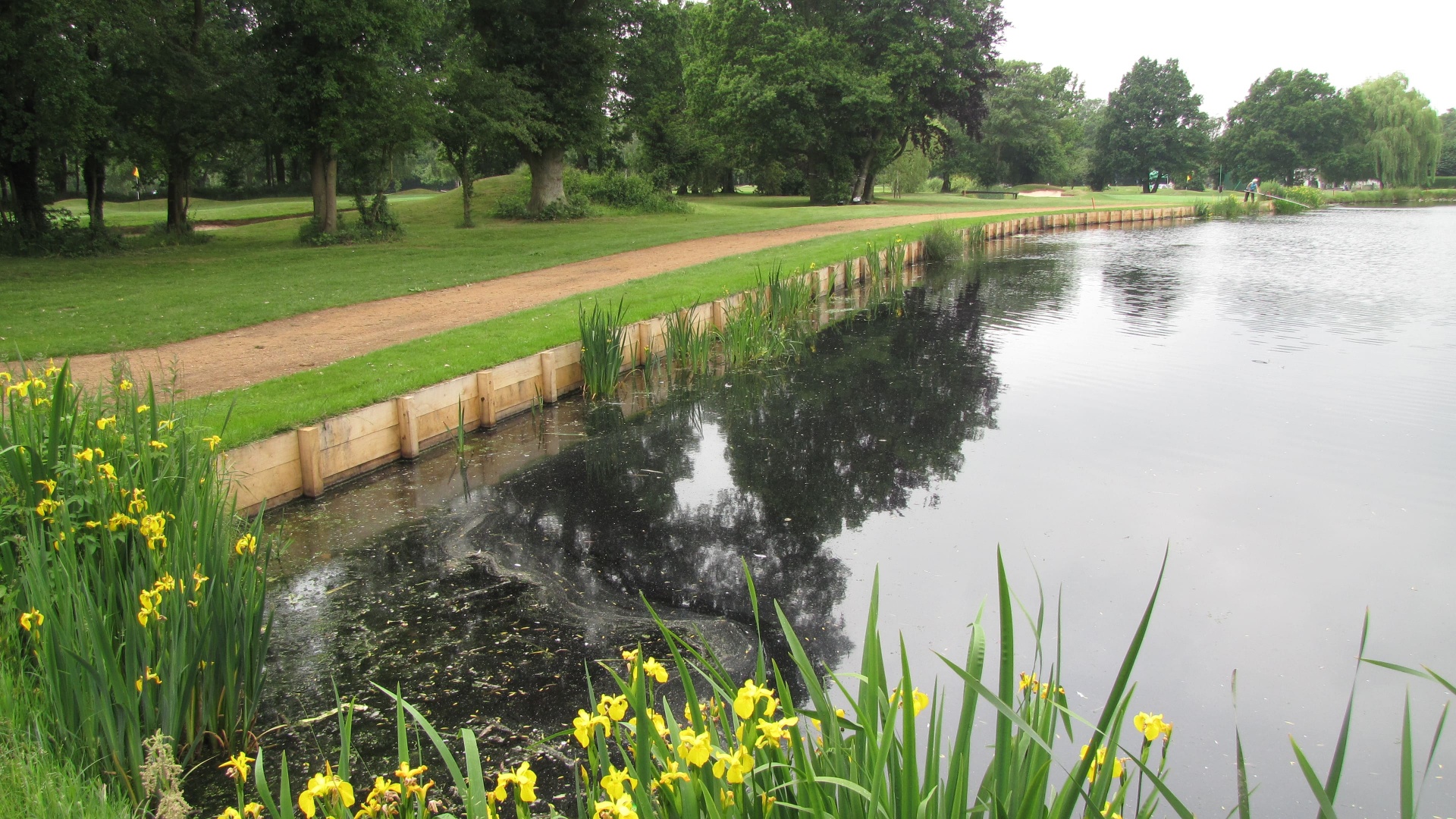 Green oak revetment