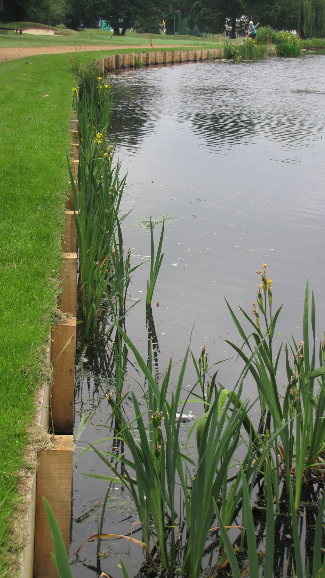 Green oak revetment